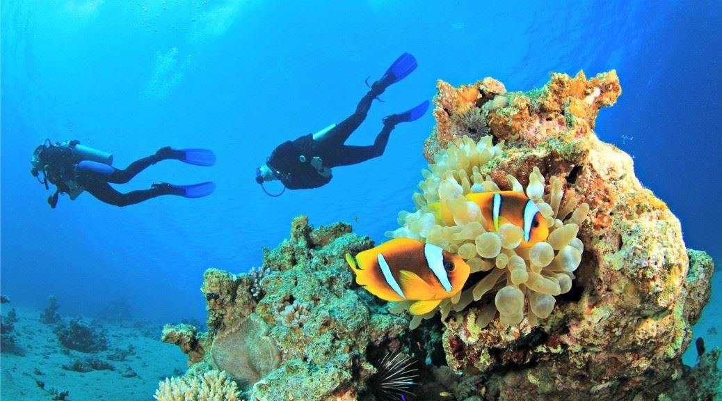 couple scuba diver diving in the coral reef of turkey
